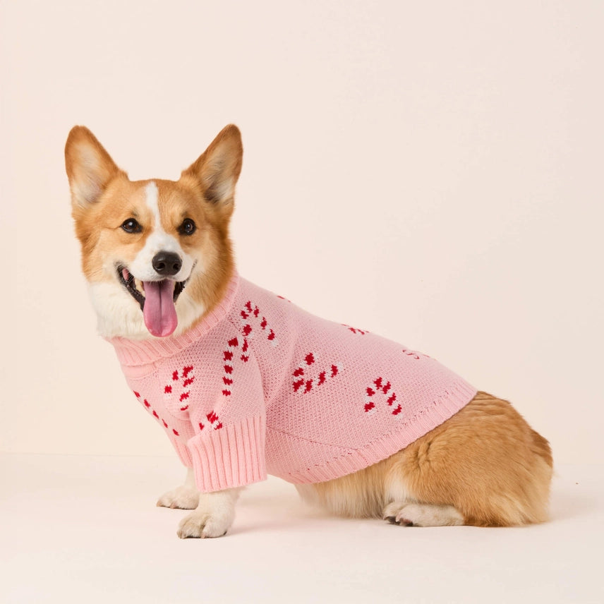 The Foggy Dog Pink Candy Cane Sweater