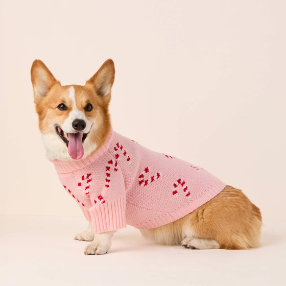 The Foggy Dog Pink Candy Cane Sweater