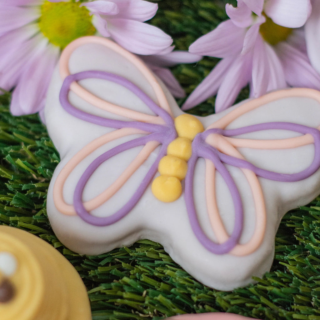 Butterfly Cookies 2pk