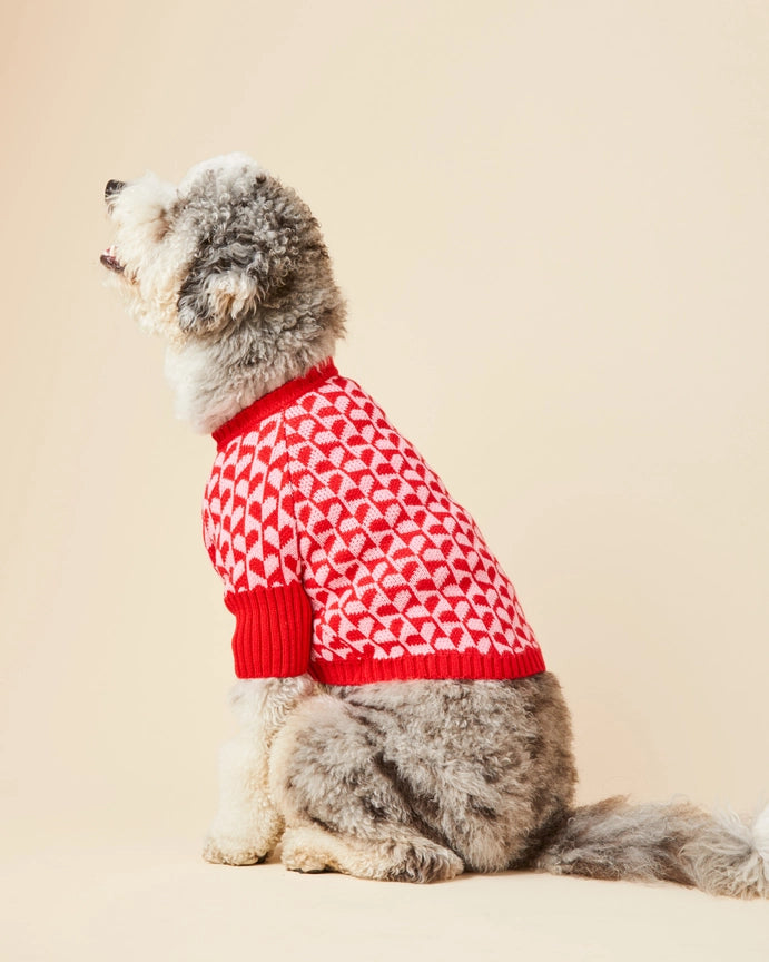 Foggy Dog Love Sweater