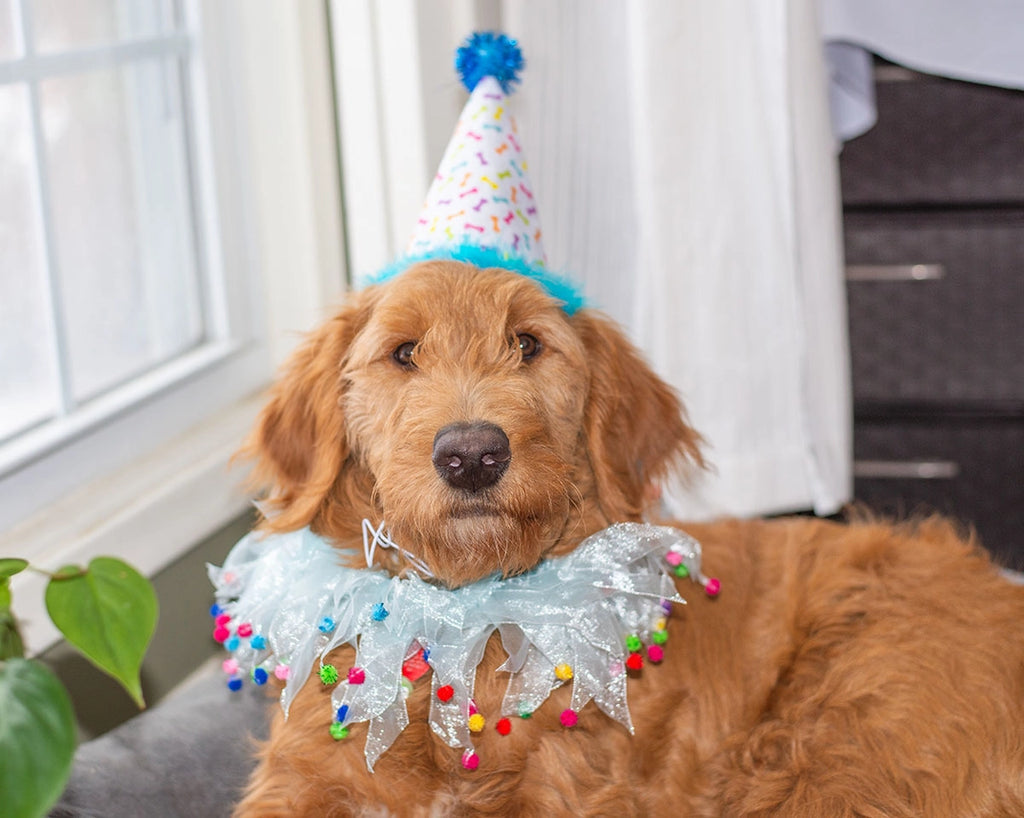 Blue Party Hat