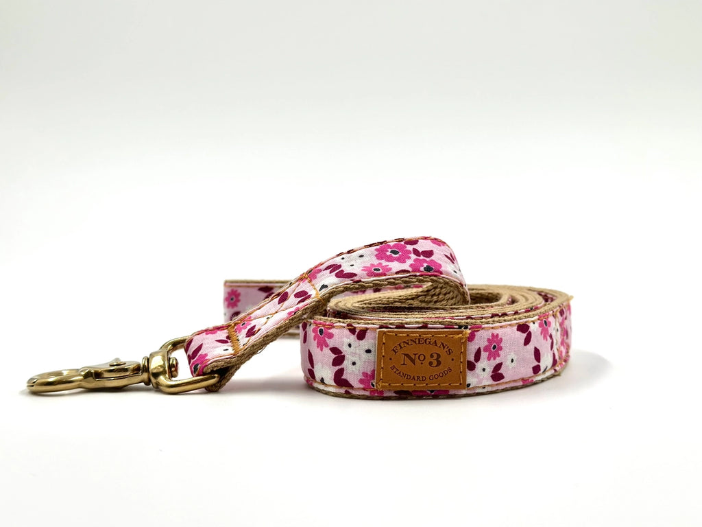 Finnegan's Standard Goods Lottie Lead