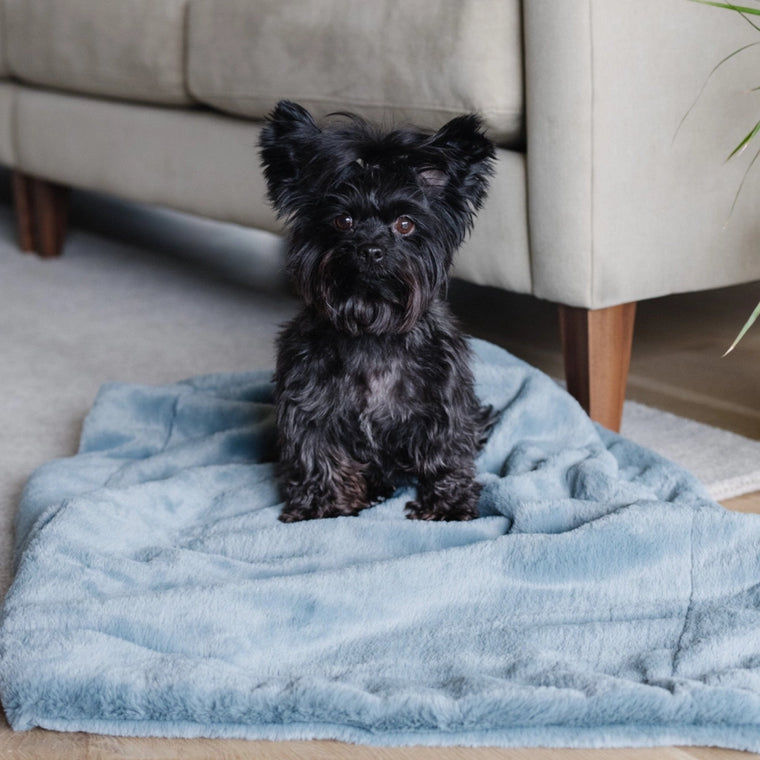 Saranoni Pet Blankets Blue Stone