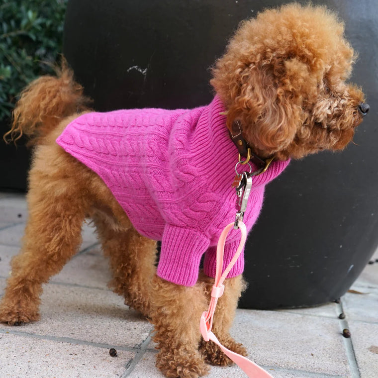 Designer Dog Clothes Dog Dresses Dog Shirts Tails in the City