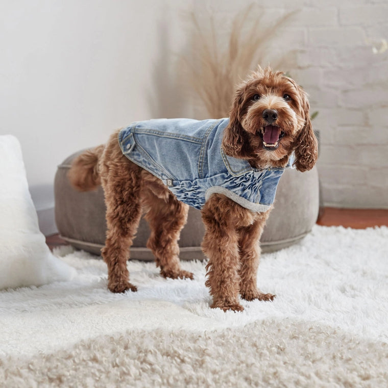 GF Pet Elasto-FIT Denim Jacket