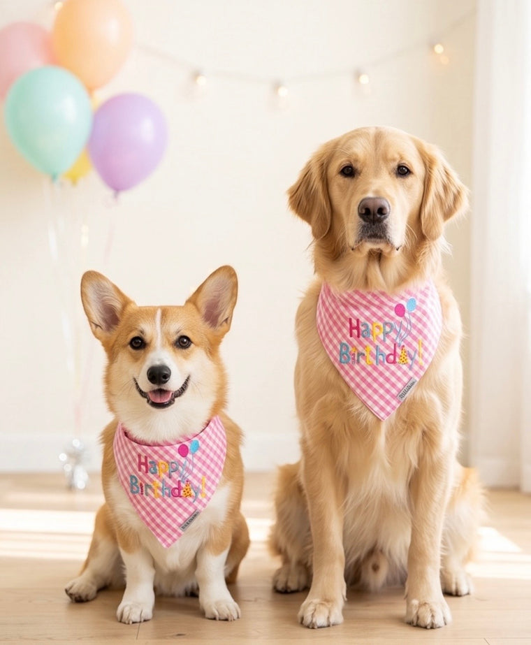 Worthy Dog Happy Birthday Pink Bandana