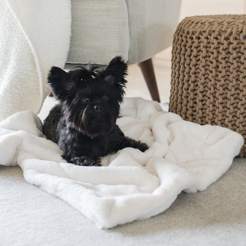 Saranoni Pet Blankets Cream