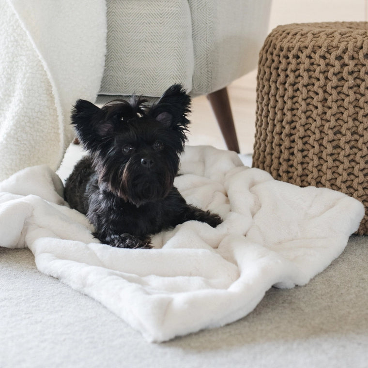 Saranoni Pet Blankets Cream