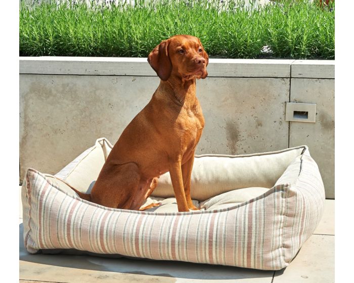 Bowser Sanibel Stripe Scoop Bed