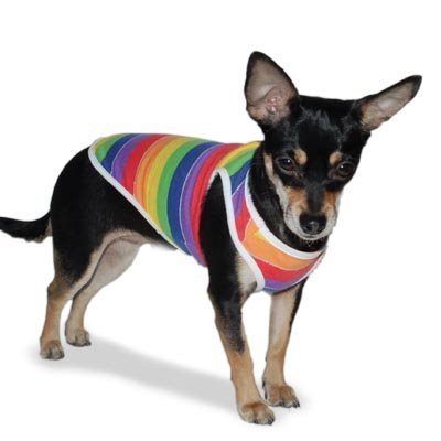 Dogo Rainbow Tee Shirt