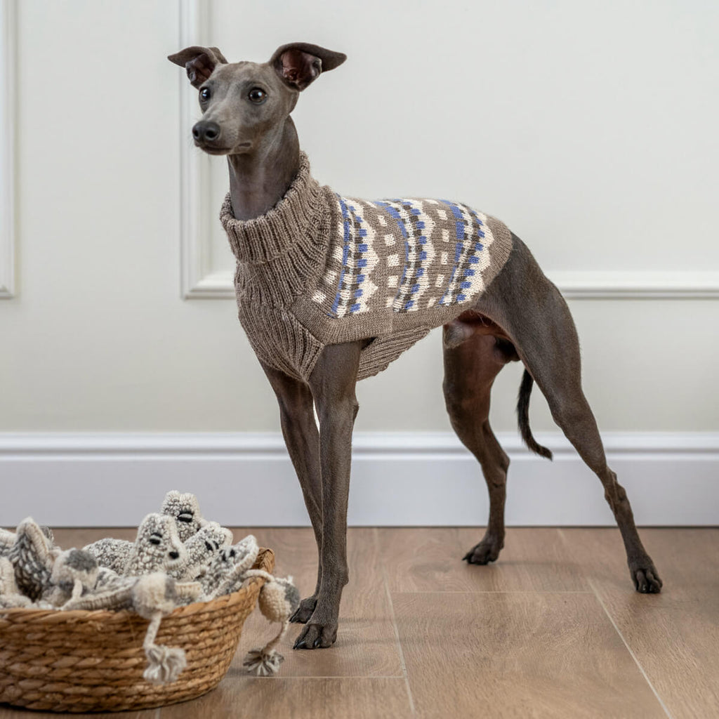 Oasis Alpaca Dog Sweater