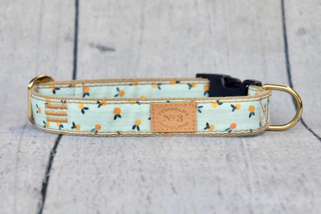 Finnegan's Standard Goods Clemintine Collar