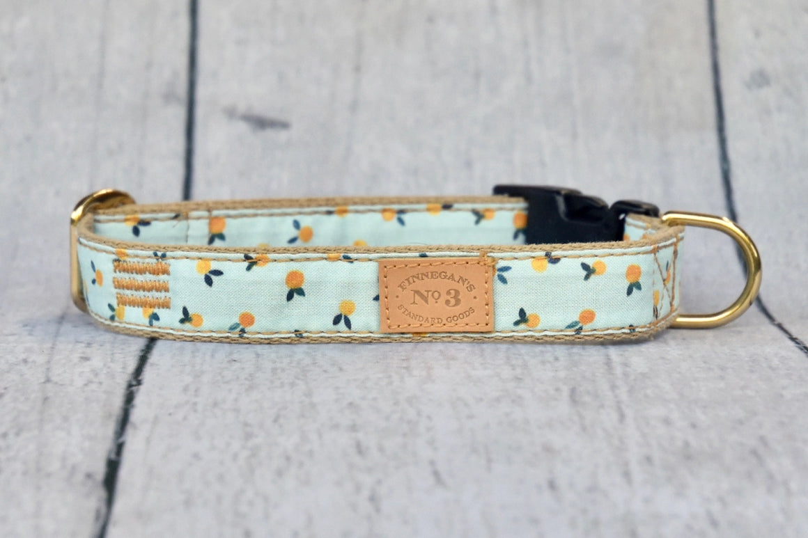 Finnegan's Standard Goods Clemintine Collar