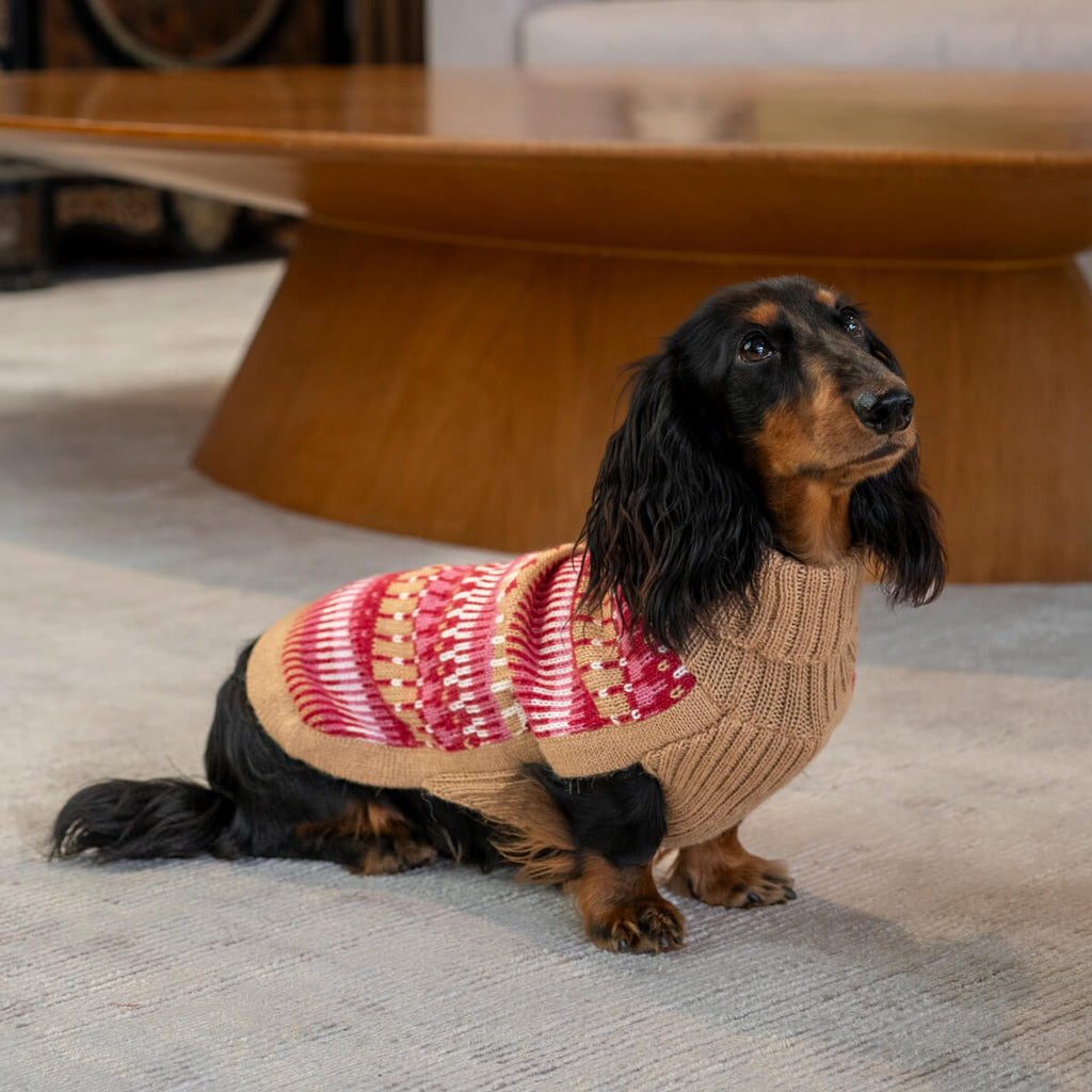 Ice Magic Cherry Alpaca Dog Sweater