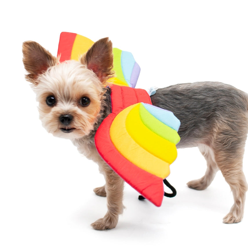 Bat Wings Gold Rainbow