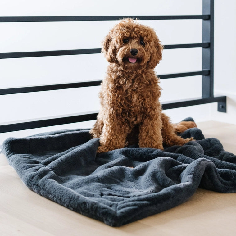 Saranoni Pet Blankets Charcoal