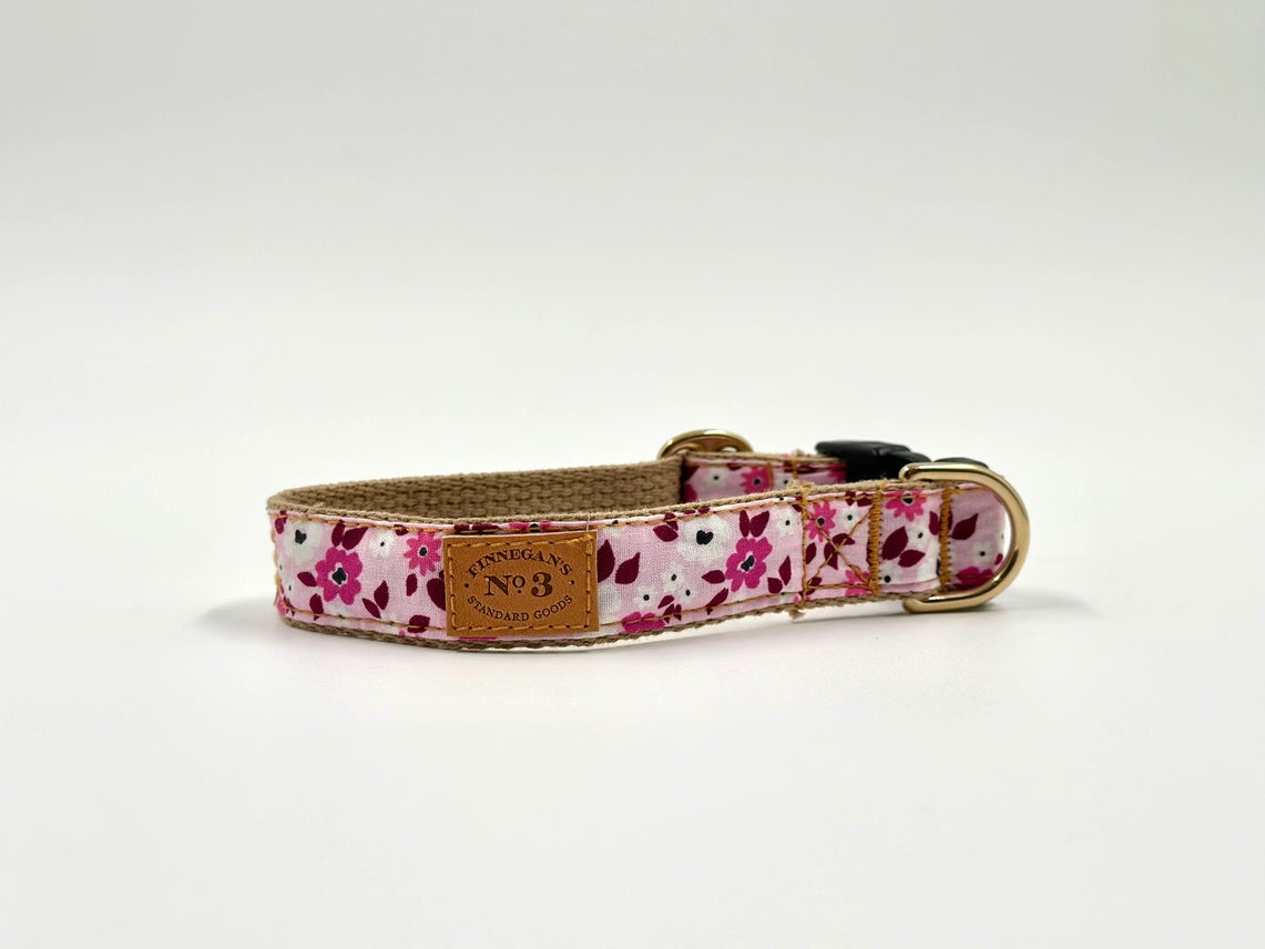 Finnegan's Standard Goods Lottie Collar