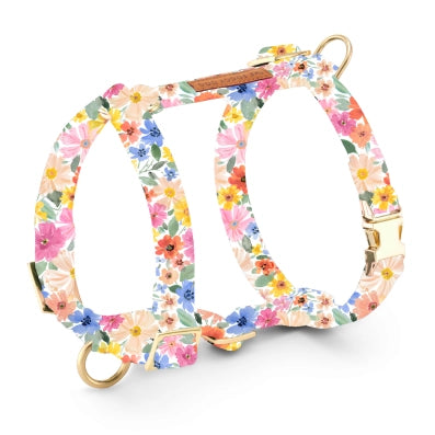 Margaux Dog Harness