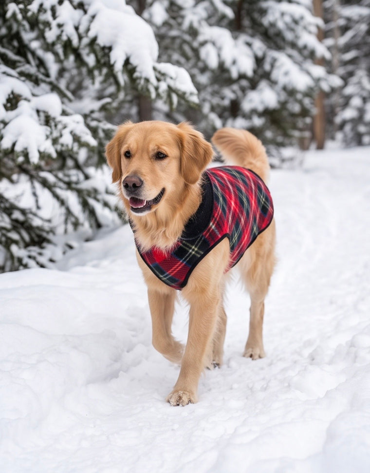 Duluth Double Fleece - Red Tartan w/ Black Reverse