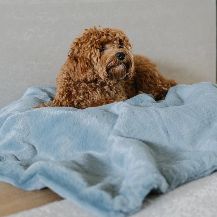 Saranoni Pet Blankets Blue Stone