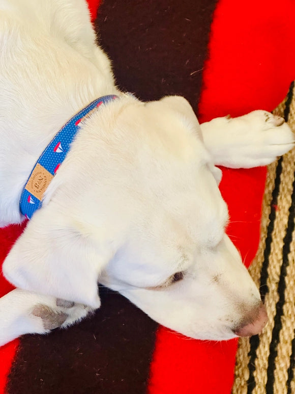 Finnegan's Standard Goods Silboat Collar