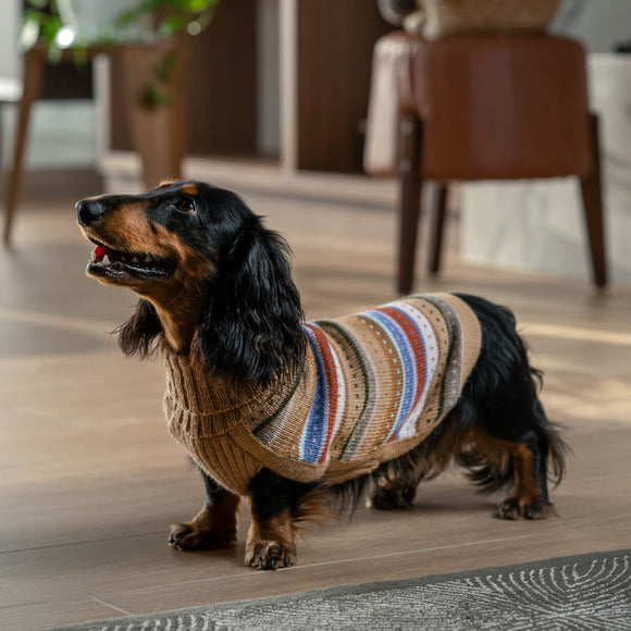 Hello Autumn Alpaca Dog Sweater