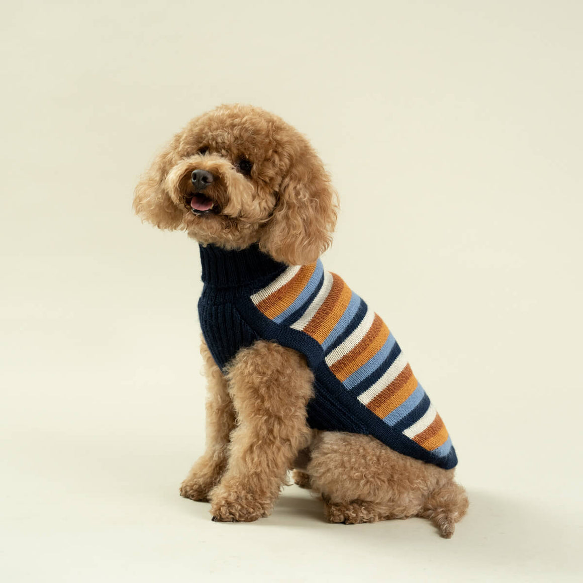 Pucci Dog Park Hoodie, Dog Clothing