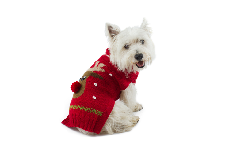 Red Rudolph Alpaca Dog Sweater