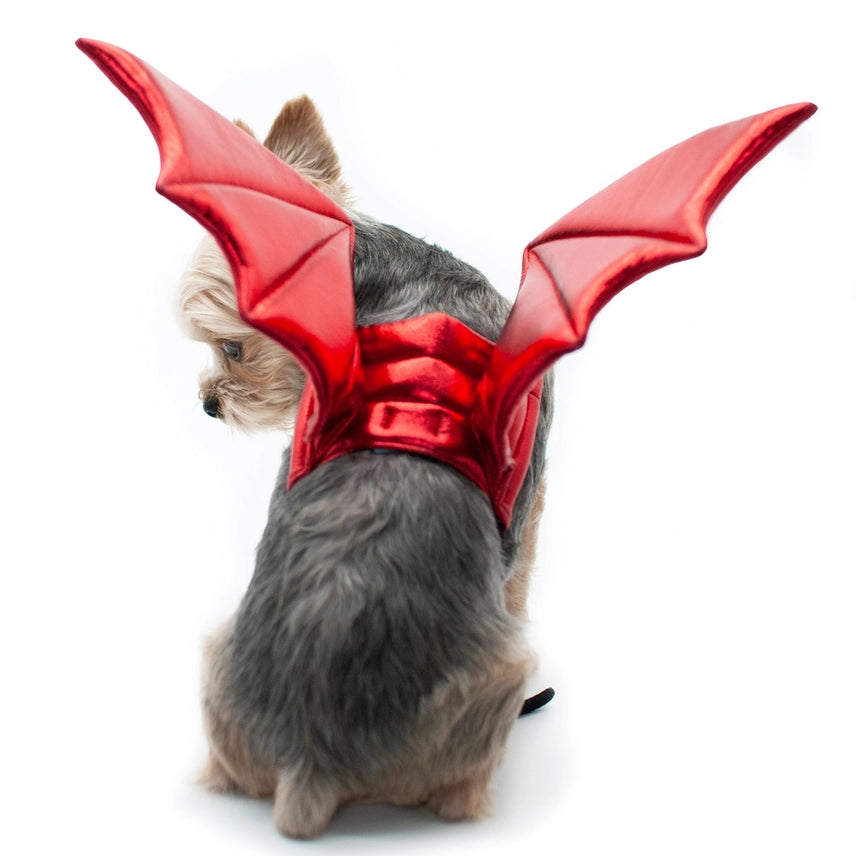 Bat Wings Gold Red