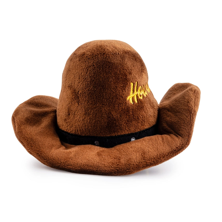 Brown Cowboy Hat