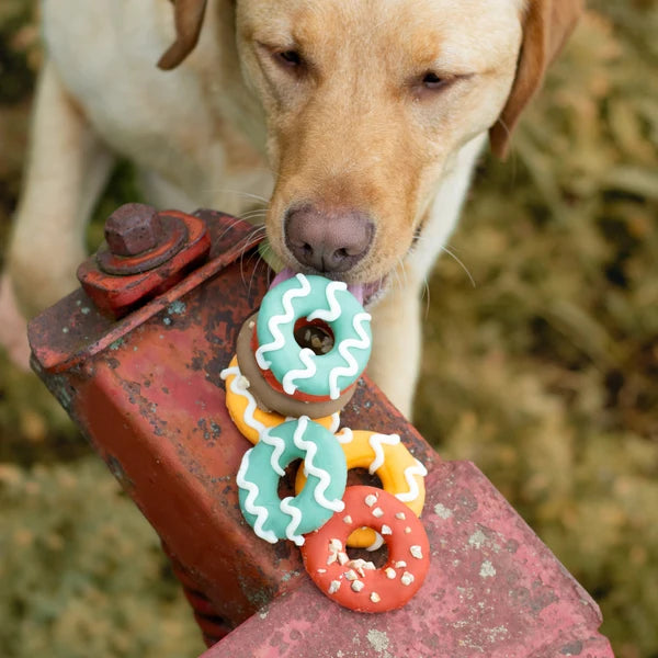 BR Donuts 2pk