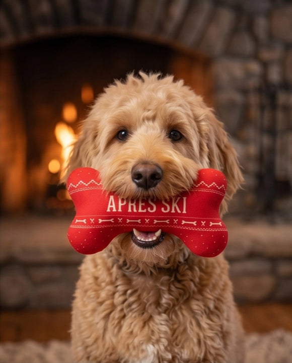Apres Ski Fairisle Bone Squeaker Dog Toy