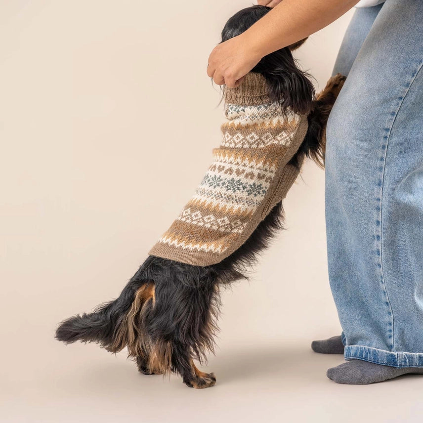 Fall Medley Toasted Almond Alpaca Dog Sweater