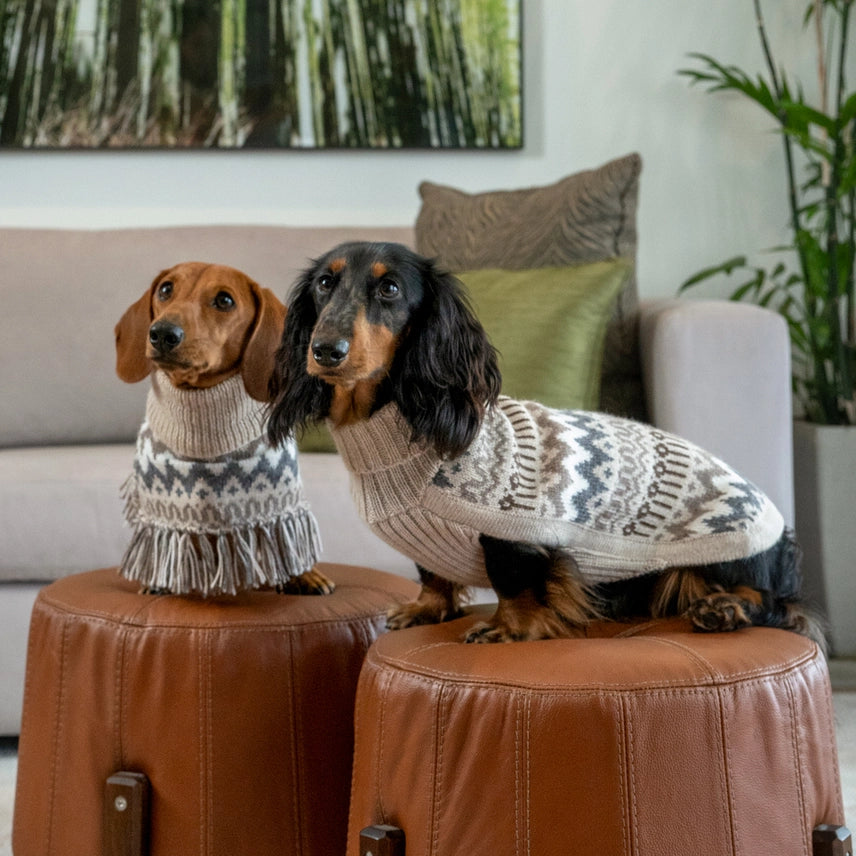 Wooly Winter Alpaca Dog Sweater