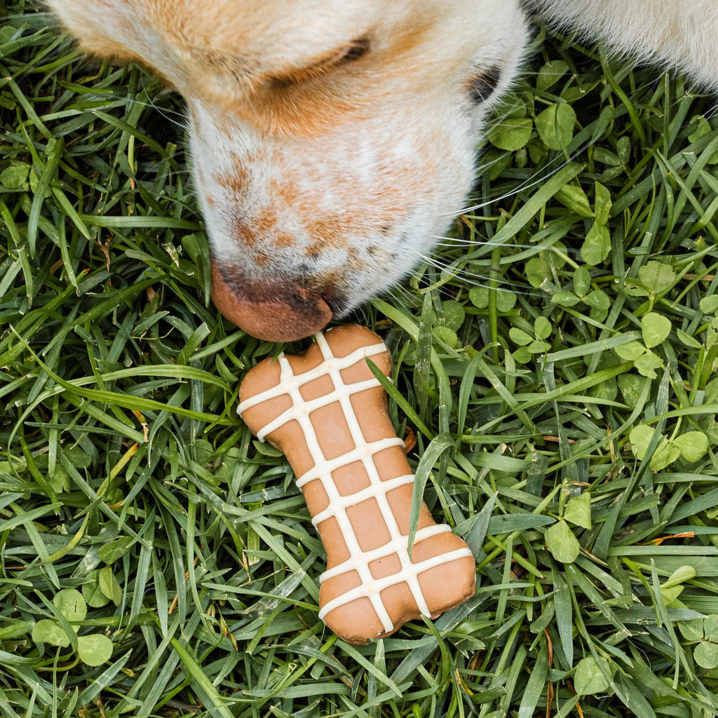 Peanut Butter Dipped Bones (4-Pack)