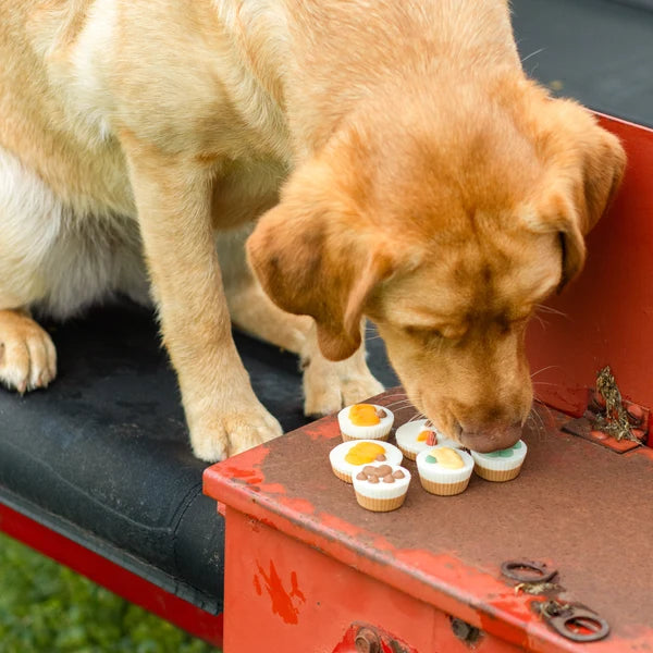 BR Peanut Butter Cups 4pk