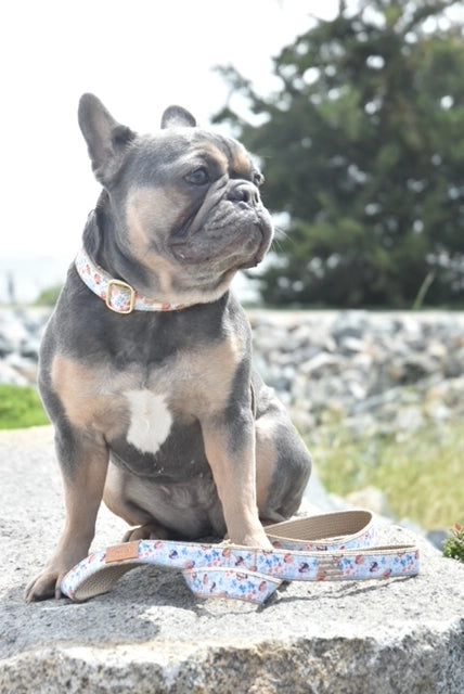 Finnegan's Standard Goods Ladybug Collar