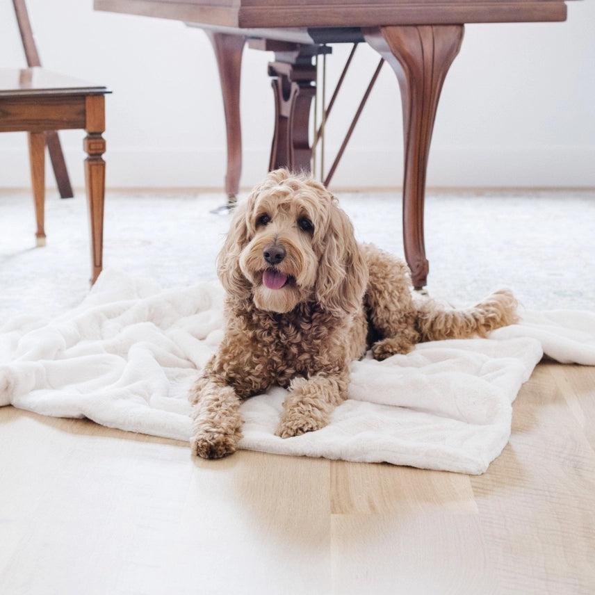 Saranoni Pet Blankets Cream