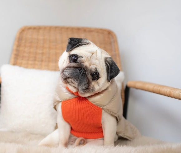 Padded Cashmere Puffer