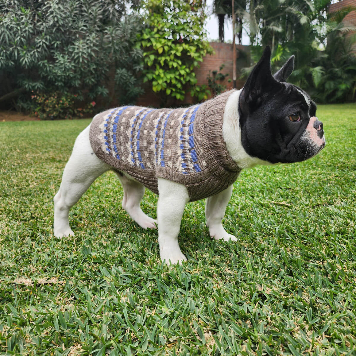 Oasis Alpaca Dog Sweater