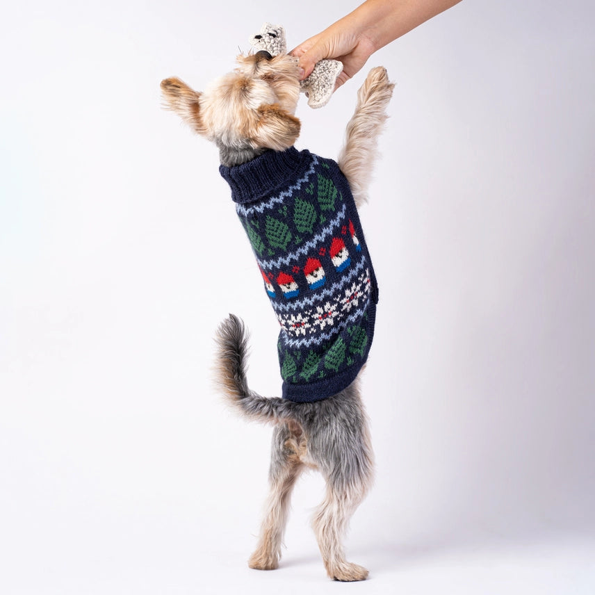 Gnome Navy Blue Alpaca Dog Sweater