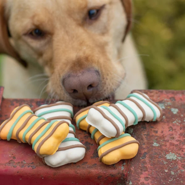 Peanut Butter Dipped Bones 3pk