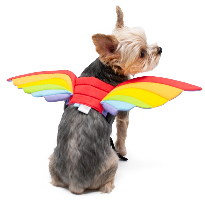 Bat Wings Gold Rainbow