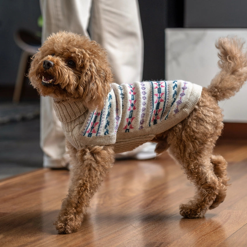 Serendipity Alpaca Dog Sweater