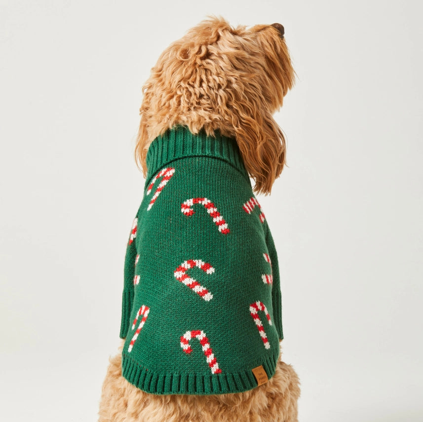 The Foggy Dog Candy Canes Holiday Sweater