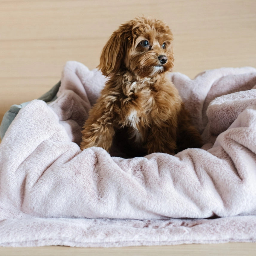 Saranoni Pet Blankets Powder Pink