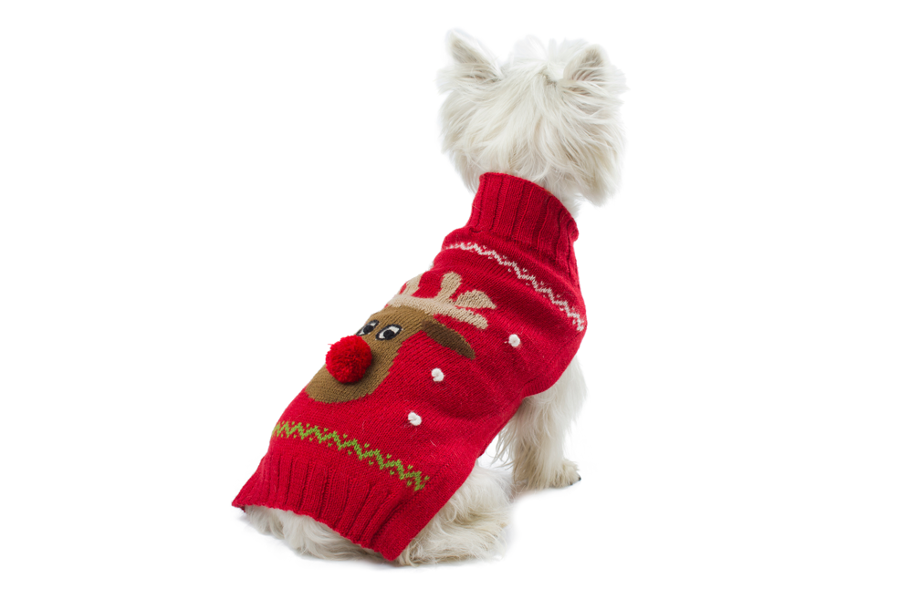 Red Rudolph Alpaca Dog Sweater