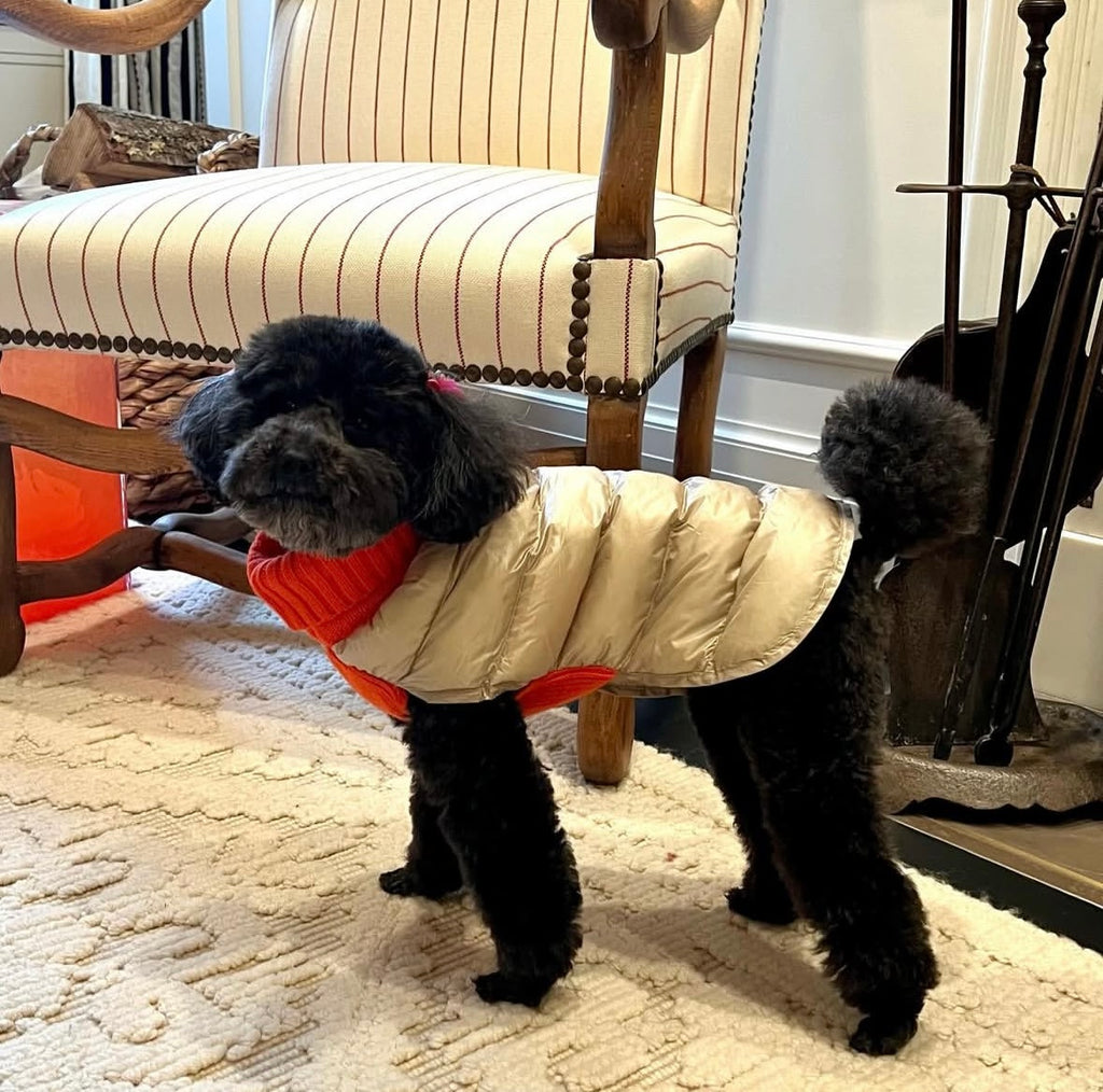 Padded Cashmere Puffer