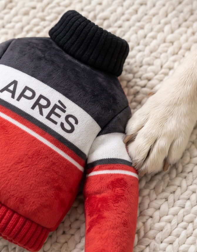 Apres Ski Sweater Squeaker Dog Toy