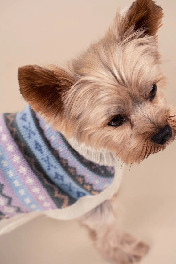 Cloudform Alpaca Dog Sweater